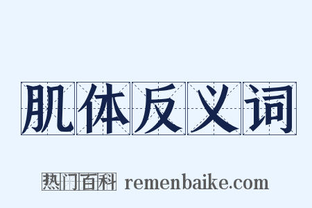 肌体反义词是什么意思的图片